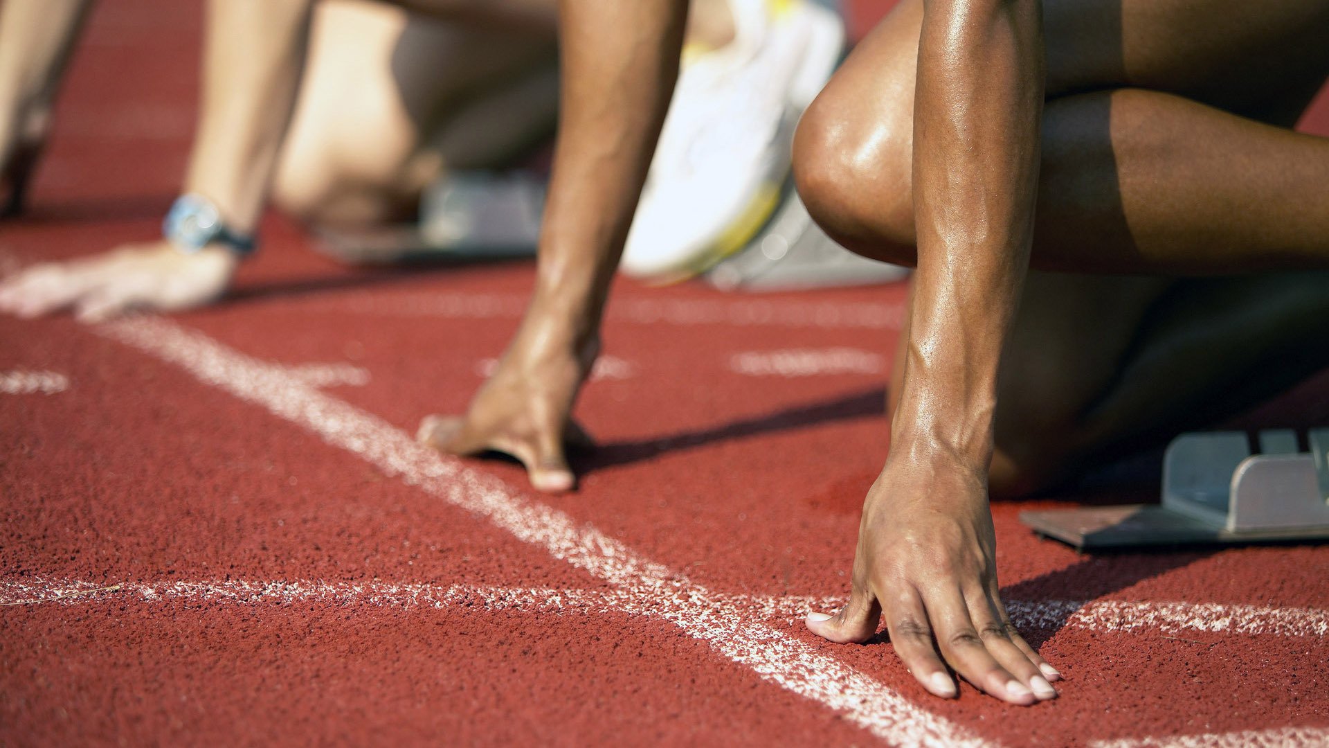 澳大利亚袋鼠队的新生力量如何改变冠军锦标赛格局，澳大利亚袋鼠竞赛赛区